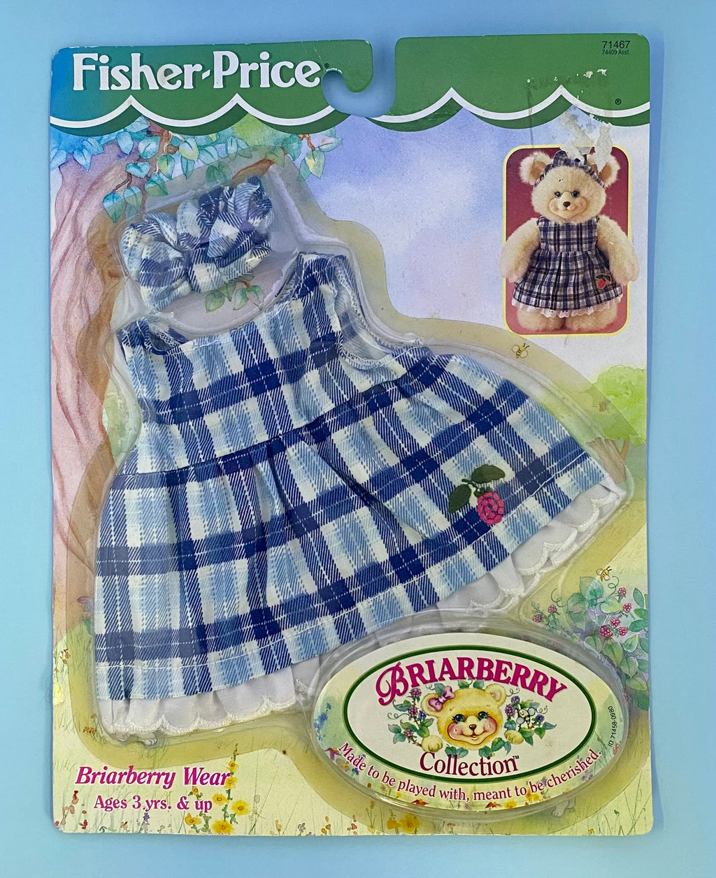 Briarberry Blue Plaid Garden party Dress