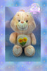 Friendship Care Bear 33cm 13”