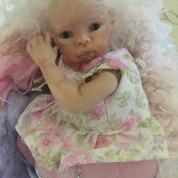 Flower Fairy